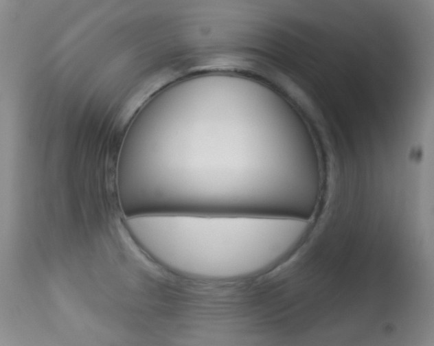 X0000113281329200909140932