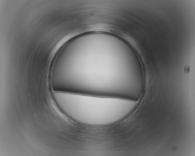 X0000113281331200909140932