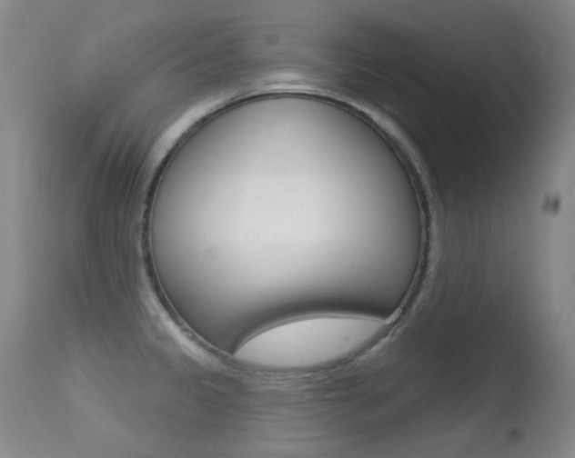 X0000113281333200909140932