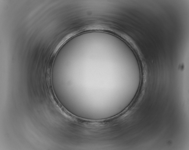 X0000113281337200909140932