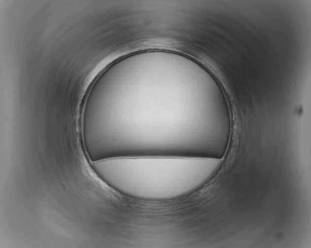 X0000113281339200909140932