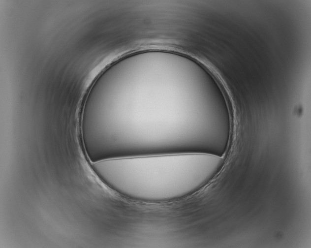 X0000113281341200909140932