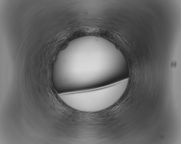 X0000113281345200909140932