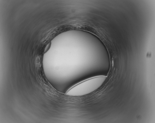 X0000113281347200909140932