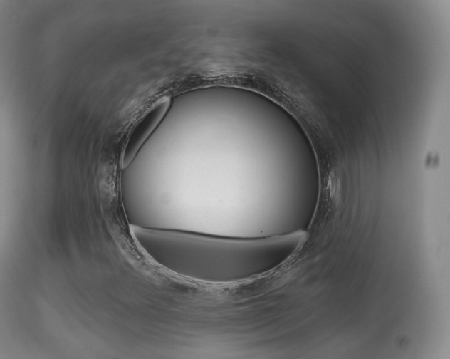 X0000113281348200909140932