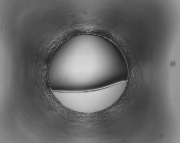 X0000113281349200909140932