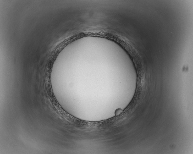 X0000113281350200909140932