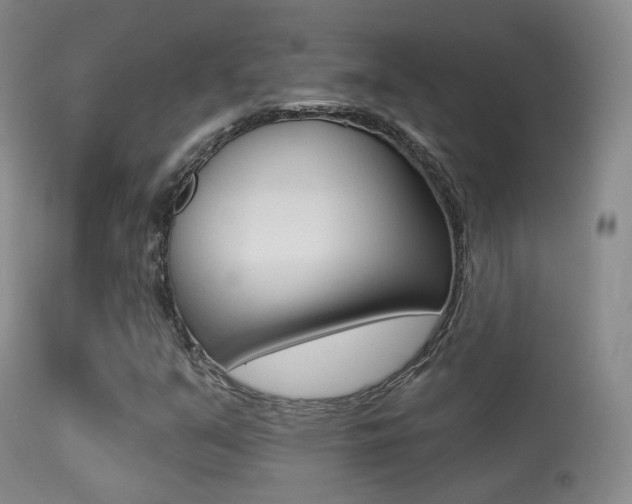 X0000113281351200909140932