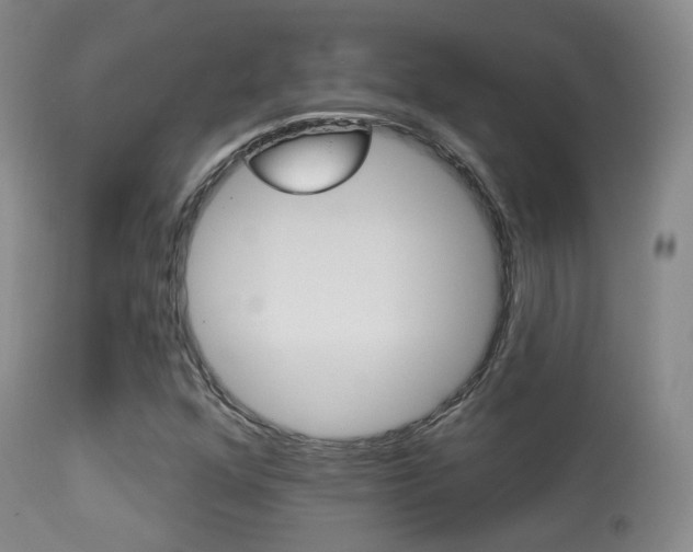 X0000113281352200909140932