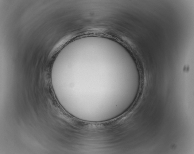 X0000113281354200909140931