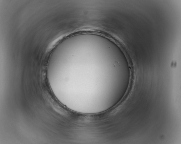 X0000113281355200909140931