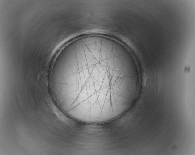 X0000113281356200909140931