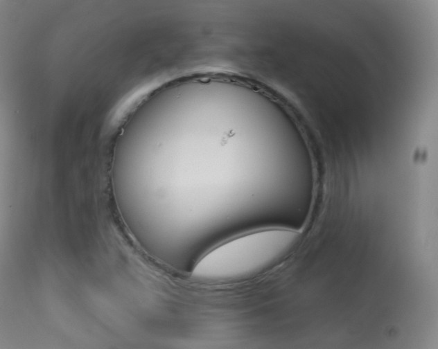 X0000113281359200909140931