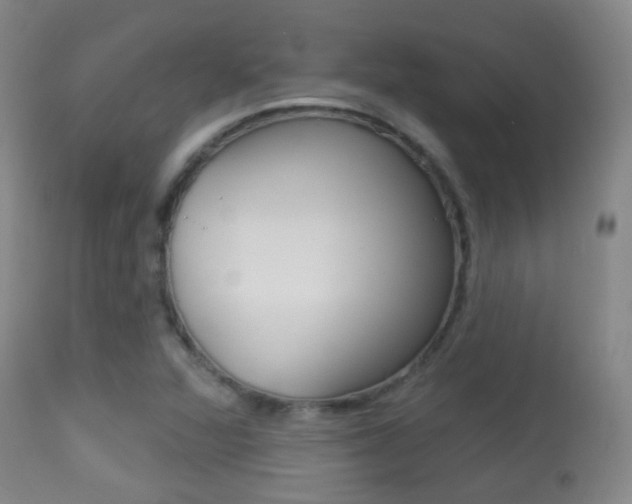 X0000113281360200909140931