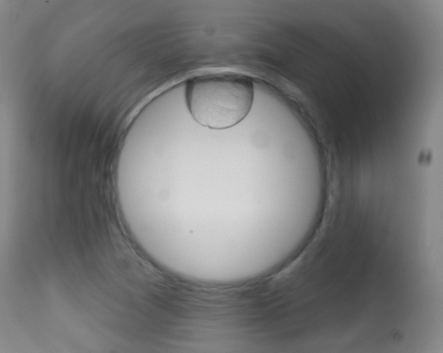 X0000113281361200909140931