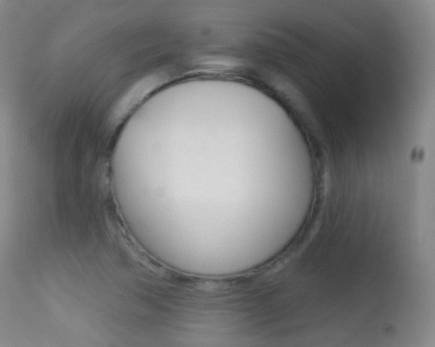 X0000113281362200909140931