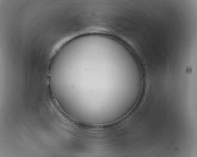 X0000113281363200909140931