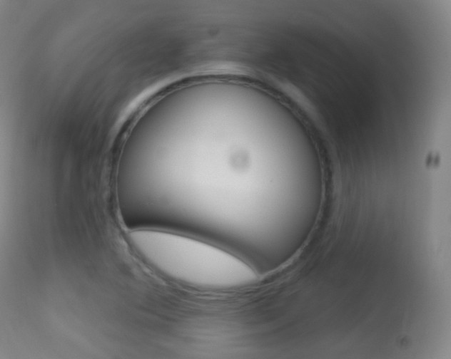 X0000113281364200909140931