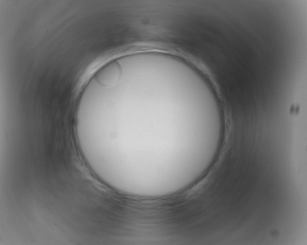 X0000113281365200909140931