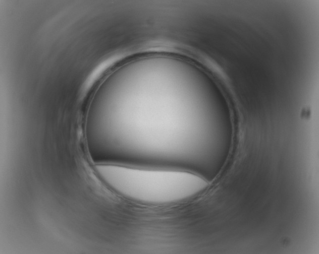 X0000113281368200909140931