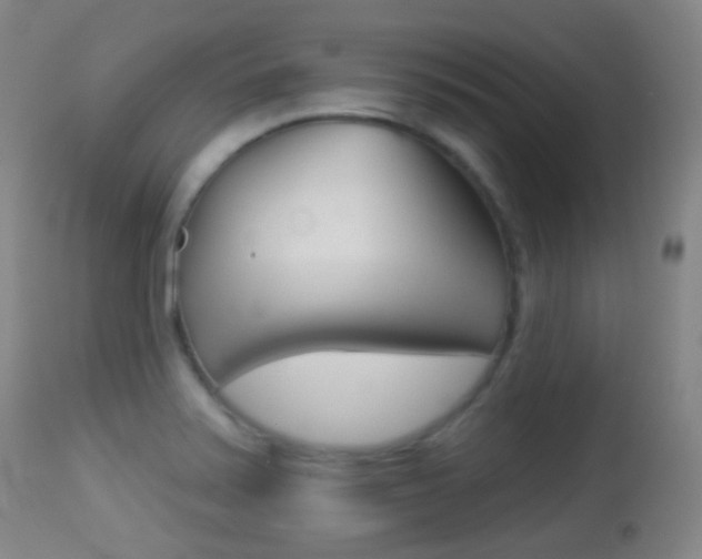 X0000113281371200909140931