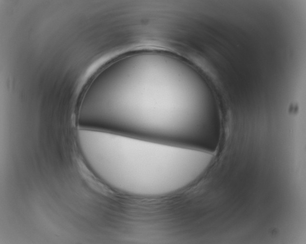 X0000113281372200909140931