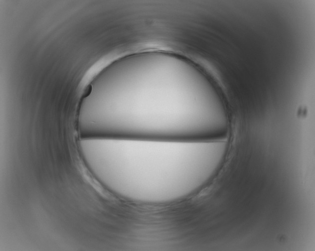 X0000113281373200909140931