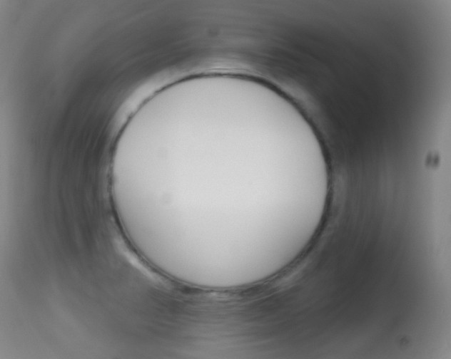 X0000113281374200909140931