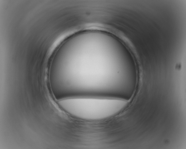 X0000113281376200909140931