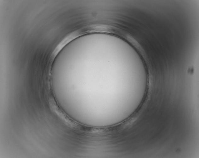 X0000113281378200909140931