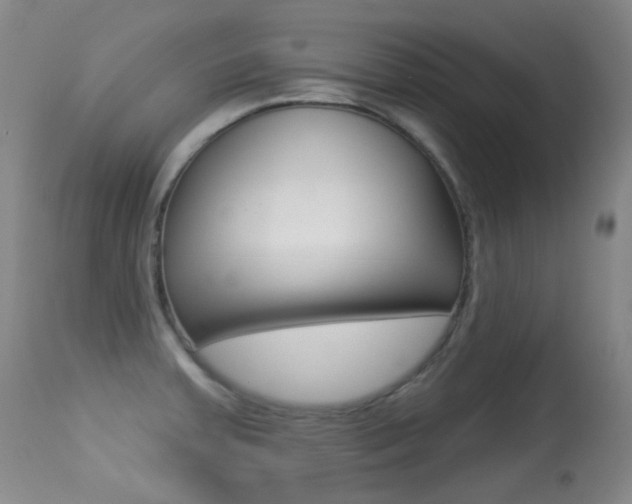 X0000113281379200909140931