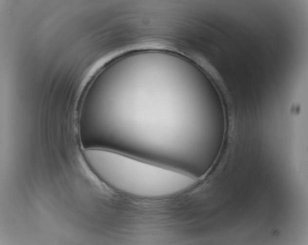 X0000113281380200909140931