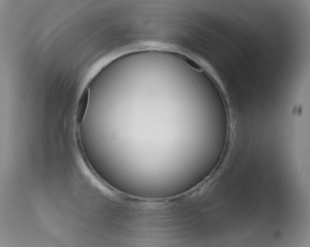 X0000113281381200909140931