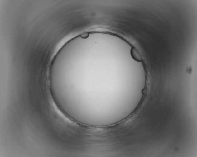 X0000113281382200909140931