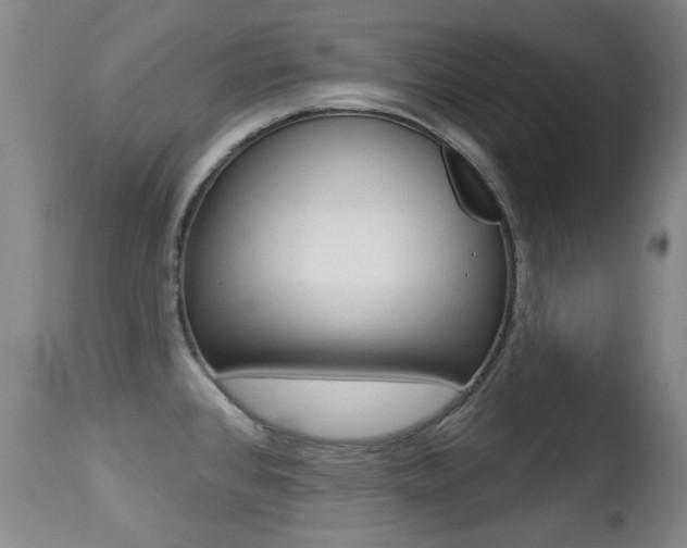 X0000113281384200909140931