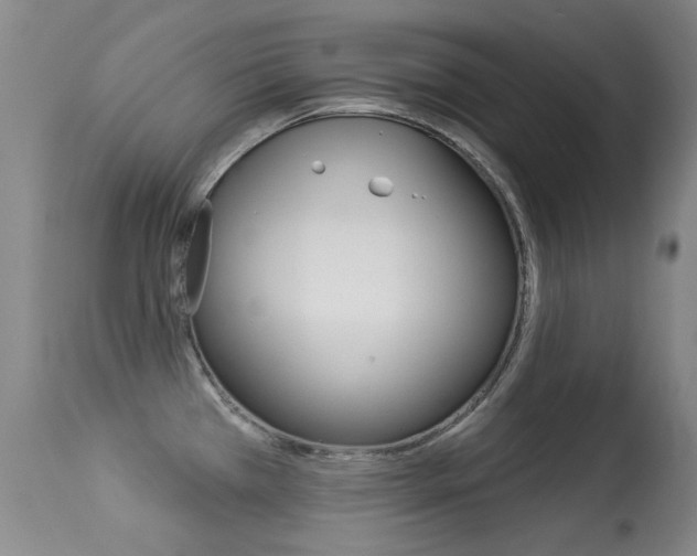 X0000113281385200909140931
