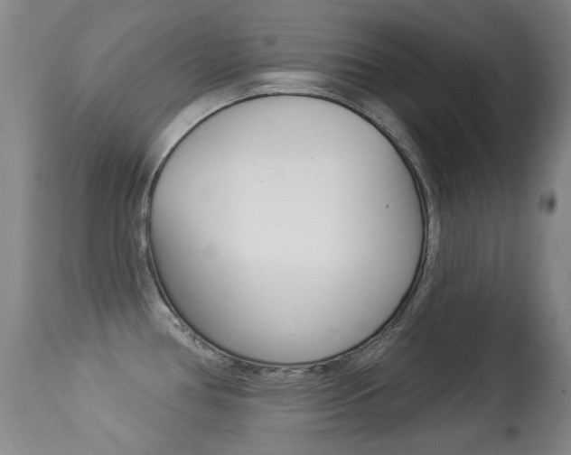X0000113281386200909140931