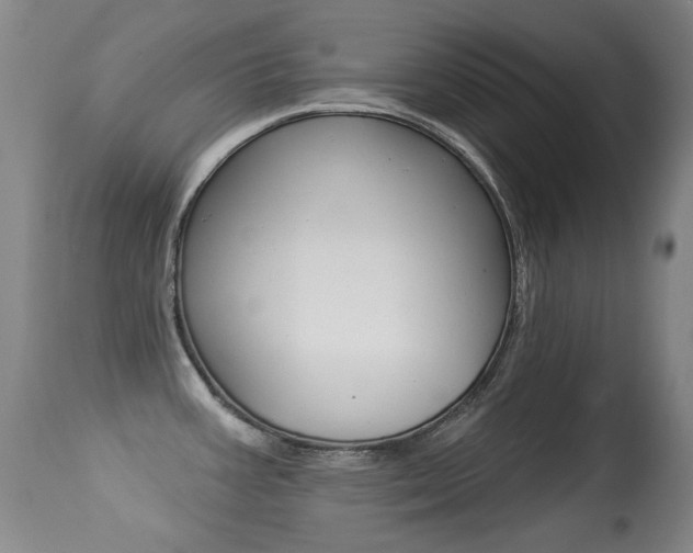 X0000113281387200909140931