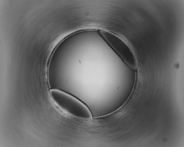 X0000113281388200909140931