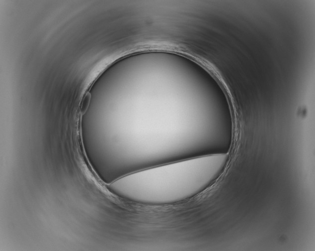 X0000113281389200909140931