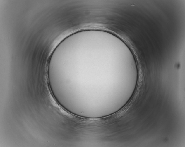 X0000113281390200909140931