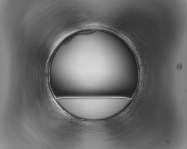 X0000113281392200909140931
