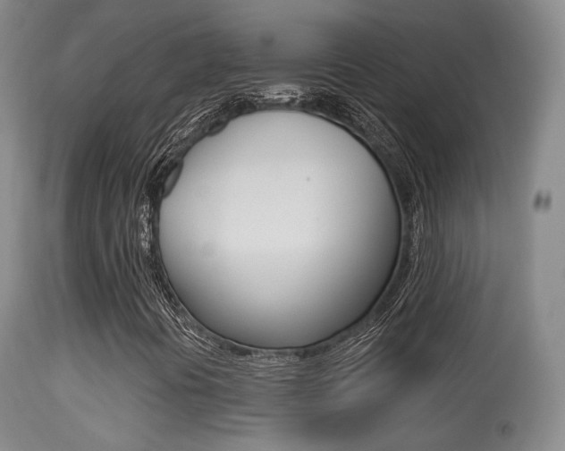 X0000113281394200909140930