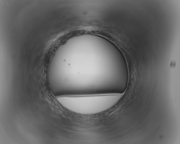 X0000113281398200909140930