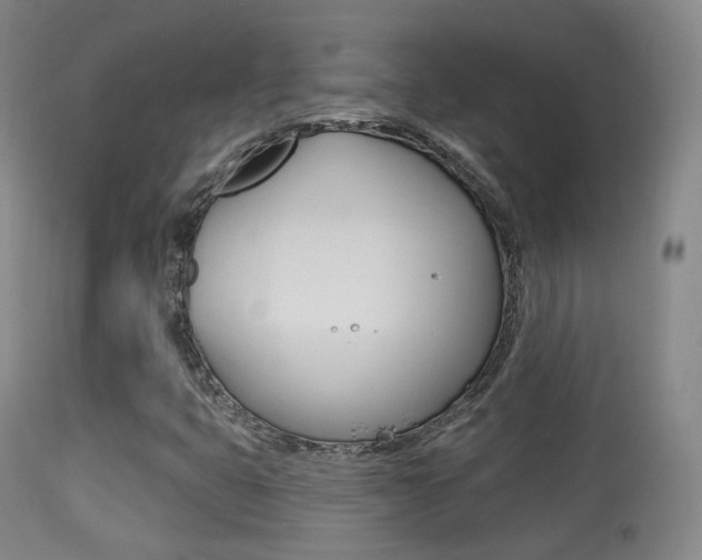 X0000113281399200909140930