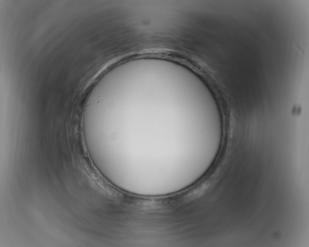 X0000113281401200909140930