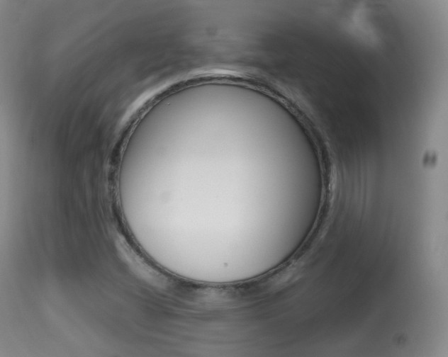 X0000113281404200909140930