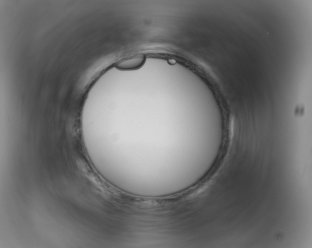 X0000113281405200909140930