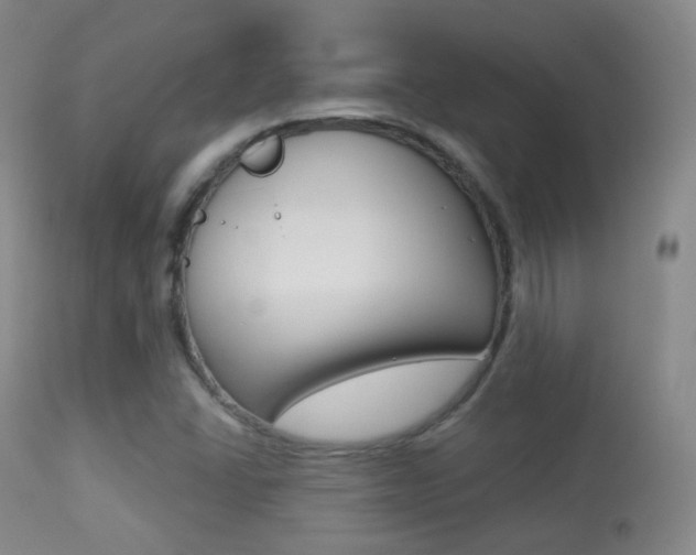 X0000113281406200909140930