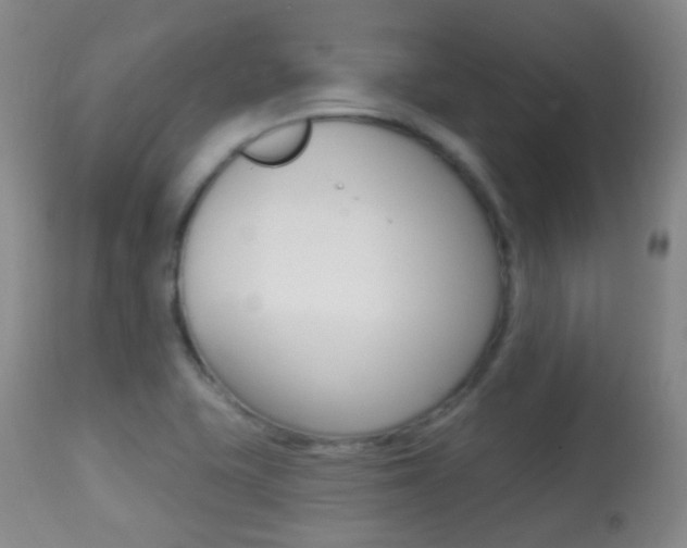 X0000113281415200909140930